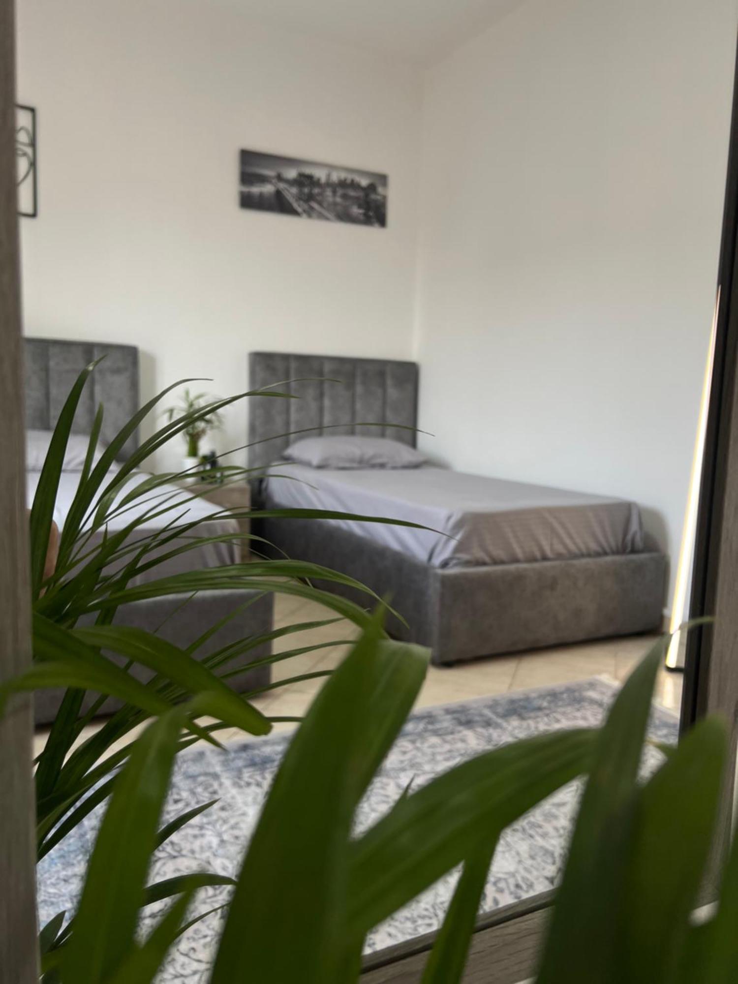 Hostel By Fenix Tirana Exteriér fotografie