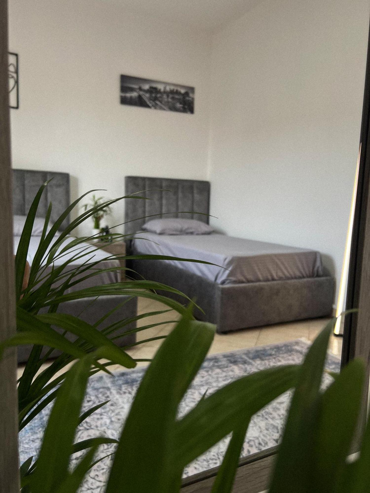 Hostel By Fenix Tirana Exteriér fotografie
